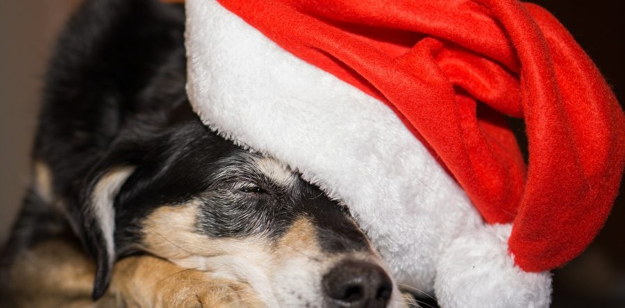 Nikolaus – Der Mann mit der roten Mütze