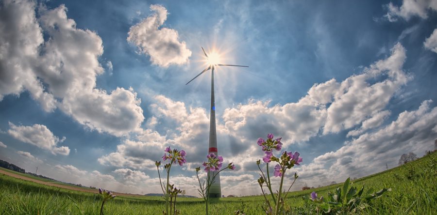 Erneuerbare Energien nutzen und eine effiziente Gebäudedämmung
