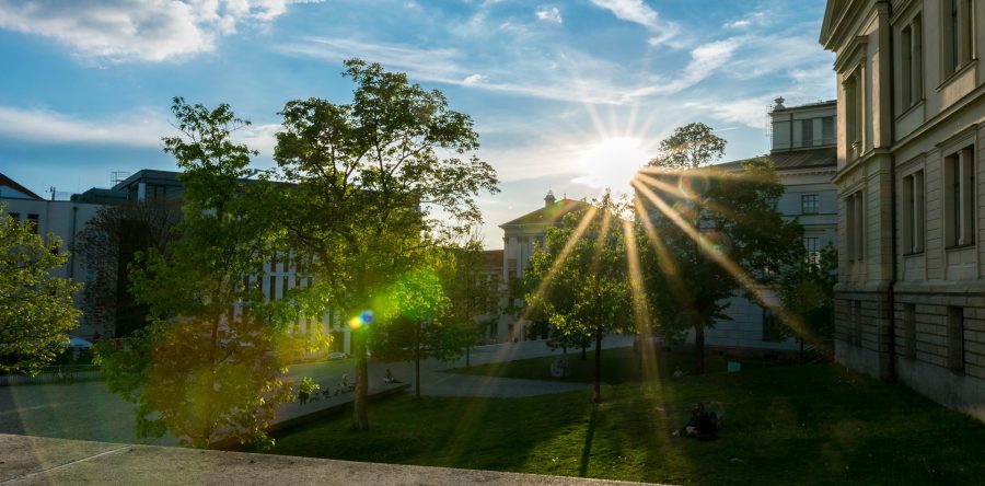 Altbausanierung Saalekreis – Nicht nur in Halle ist Termin Bau Ihr Partner am Bau